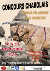 Semur-en-Auxois ne baisse pas les bras